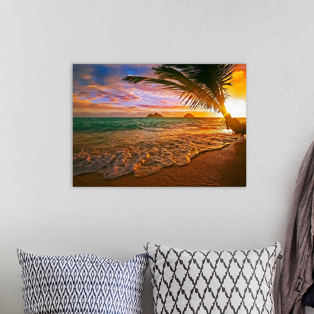 A bohemian room featuring Horizontal, photographic wall hanging of a palm tree swaying over the shoreline of Lanikai Beach,...