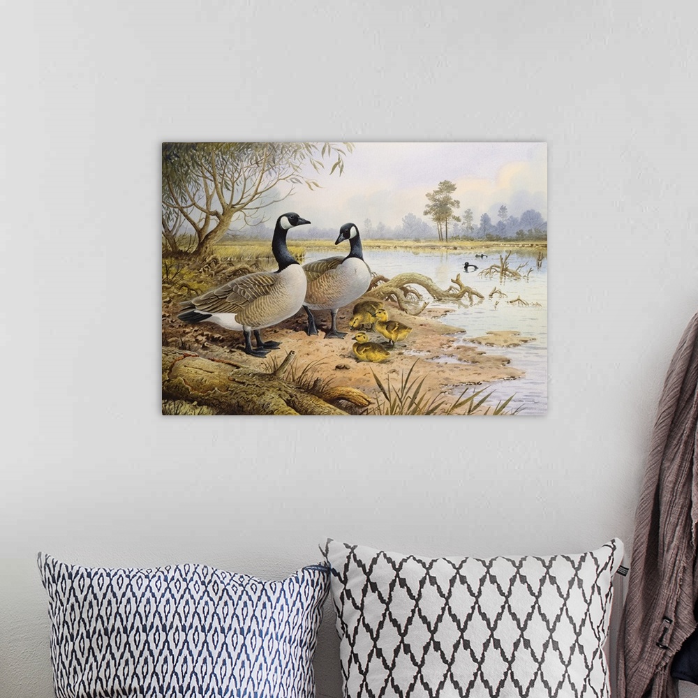 A bohemian room featuring Geese, Canada