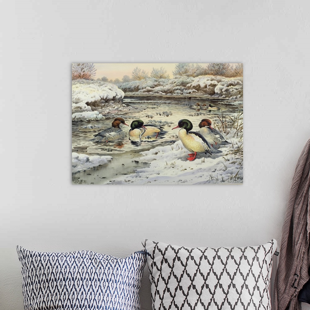 A bohemian room featuring Goosanders