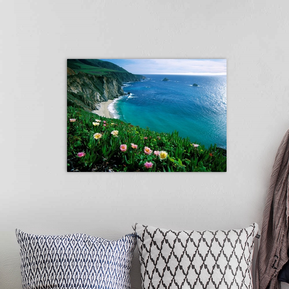 A bohemian room featuring This wall art is a landscape photograph of wildflowers growing on a sea cliff overlooking a Pacif...
