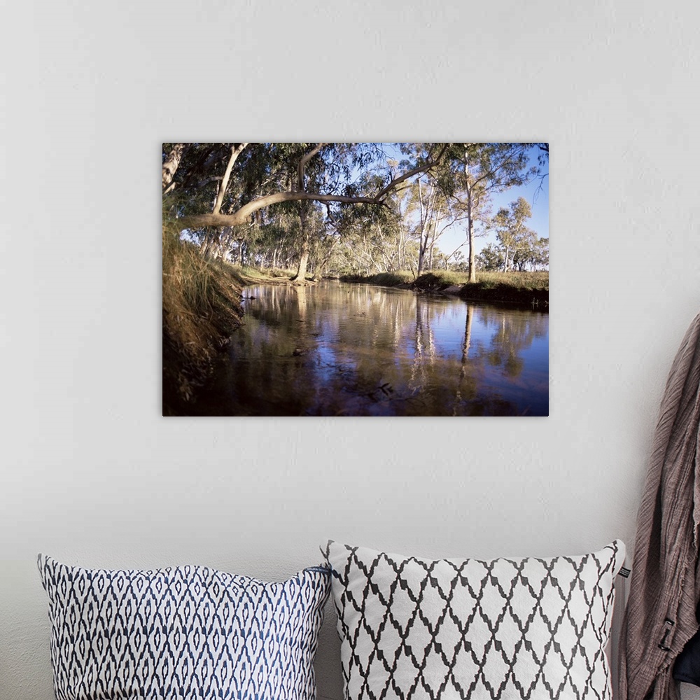 A bohemian room featuring Gum trees beside Hann River, central Gibb River Road, Kimberley, Australia