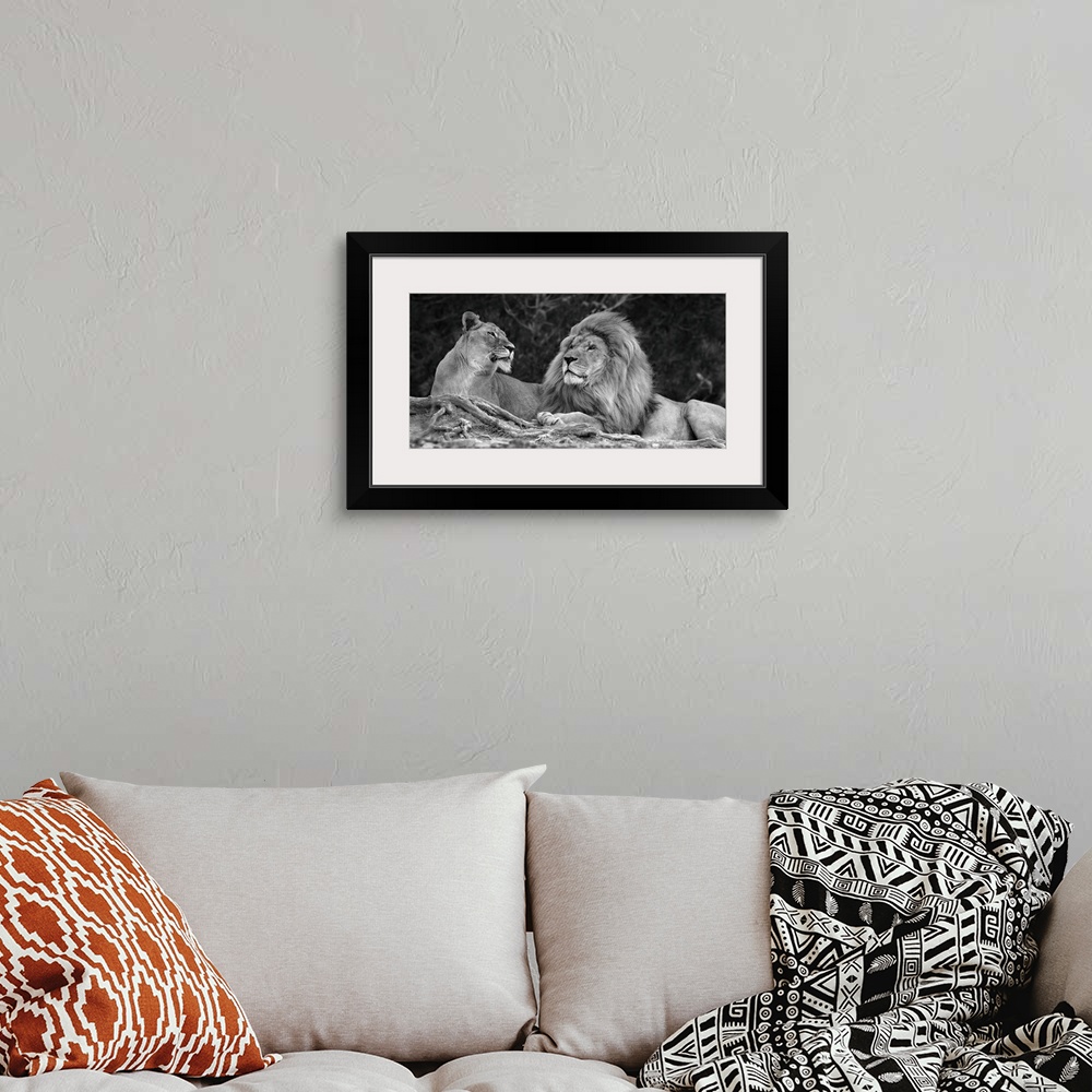 A bohemian room featuring A black and white photograph of two lions laying next to each other.