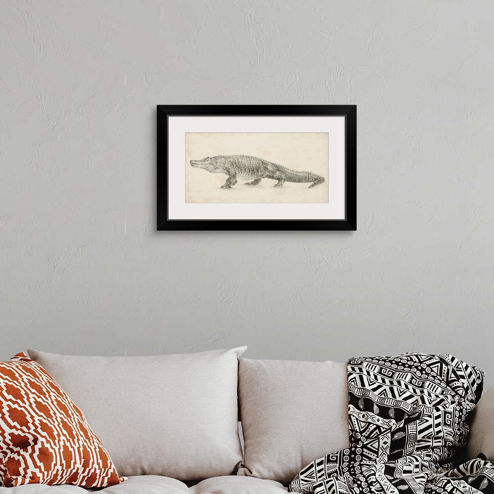A bohemian room featuring Alligator Sketch