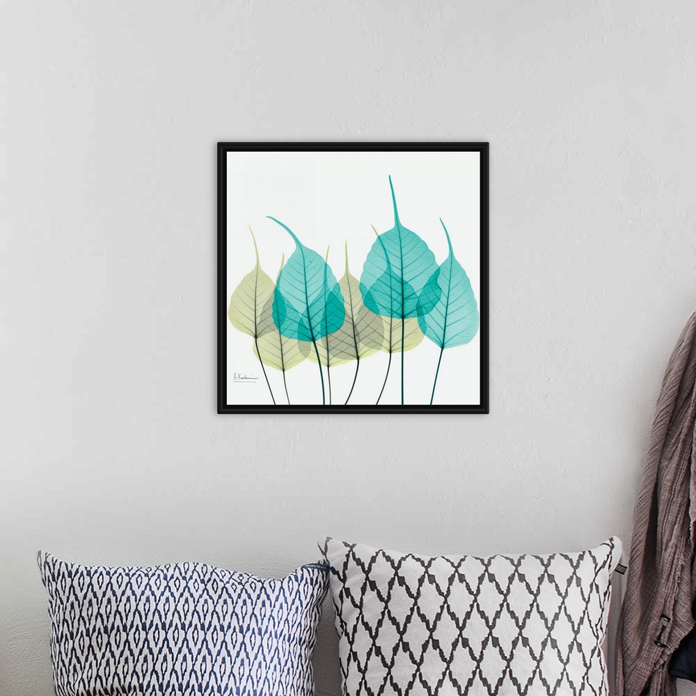 A bohemian room featuring Giant, square fine art, X-ray photograph of a group of leaves in blues and greens on a solid whit...