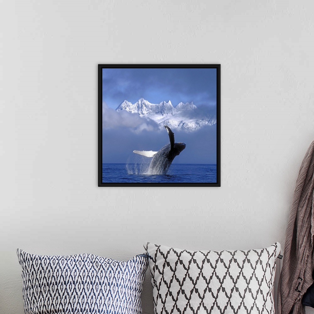 A bohemian room featuring A large whale breaches water with a thick layer of fog just behind it and only the top of the sno...