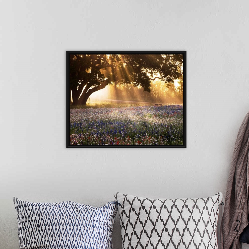 A bohemian room featuring Morning Meadow Sunrise
