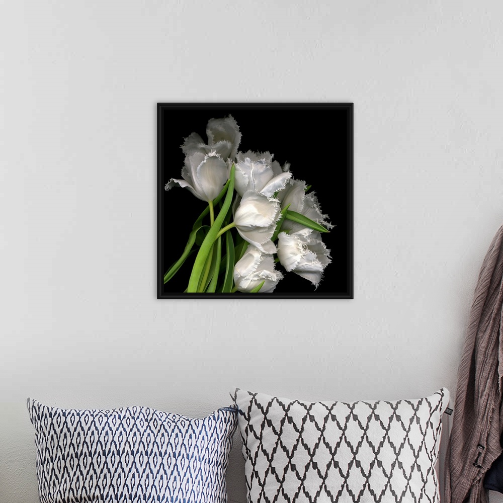 A bohemian room featuring Photograph of white tulips with petals that have fraying edges against a black background.