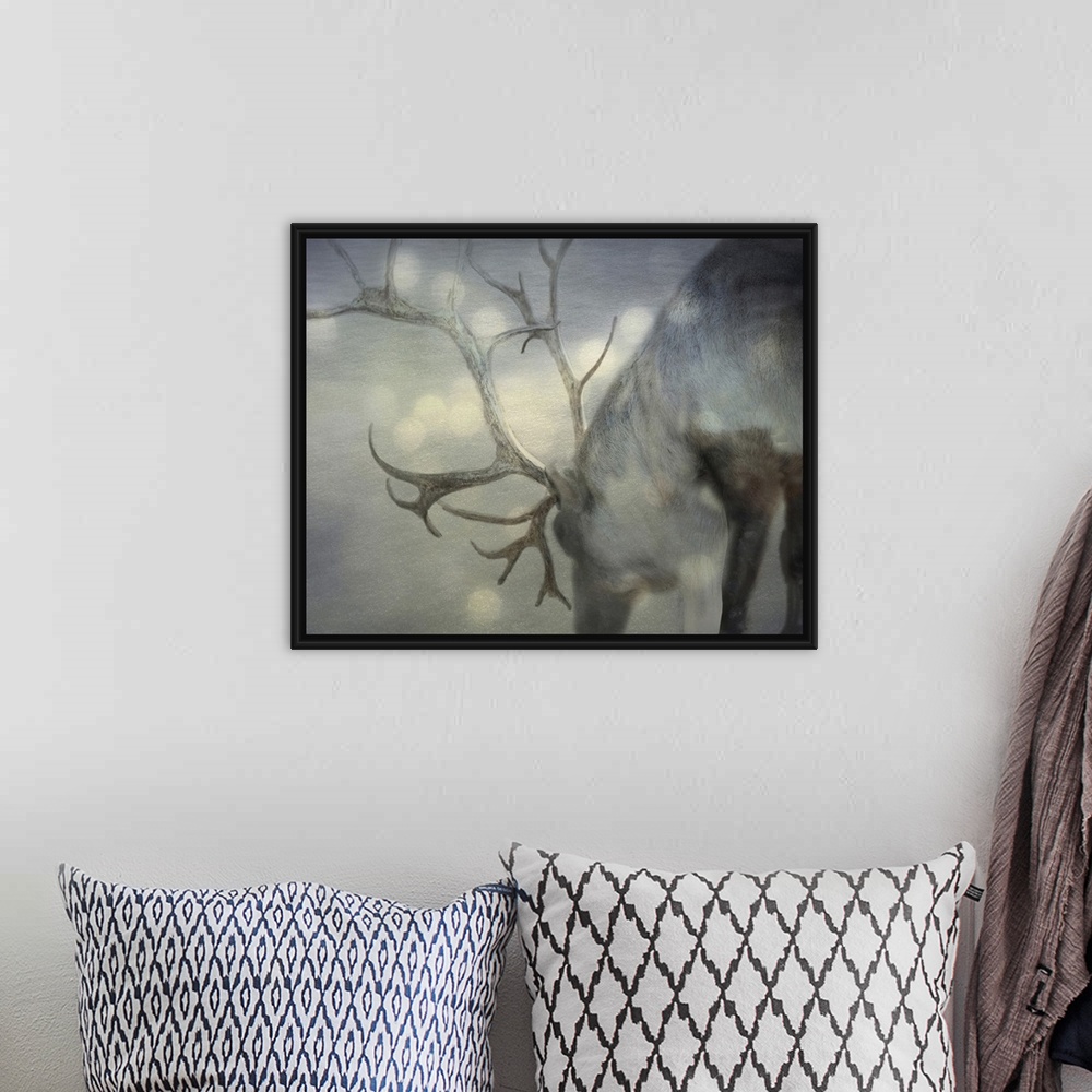 A bohemian room featuring Photograph of a gray reindeer on snow.