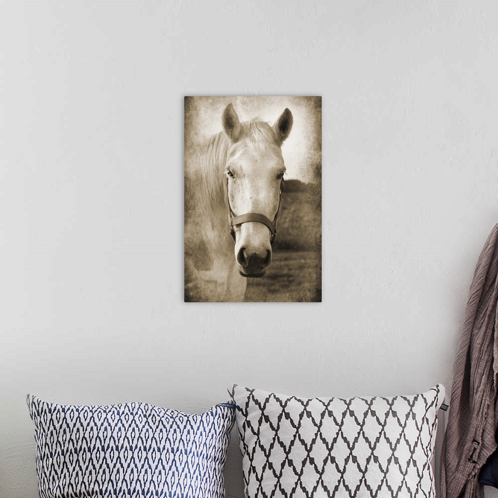 A bohemian room featuring Sepia toned photograph of a white horse wearing a bridle, standing in a field
