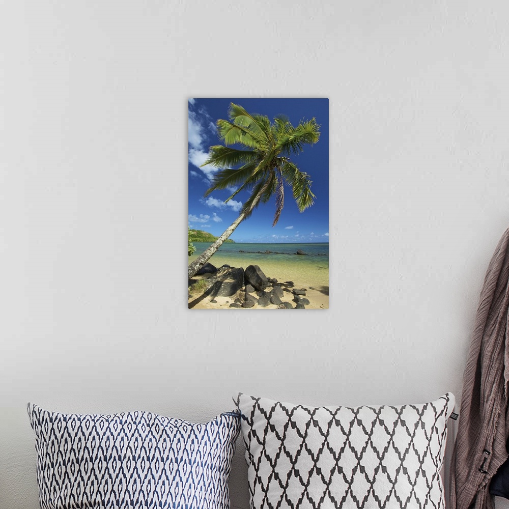 A bohemian room featuring A palm tree leaning out to the ocean against a blue sky;Hawaii united states of america