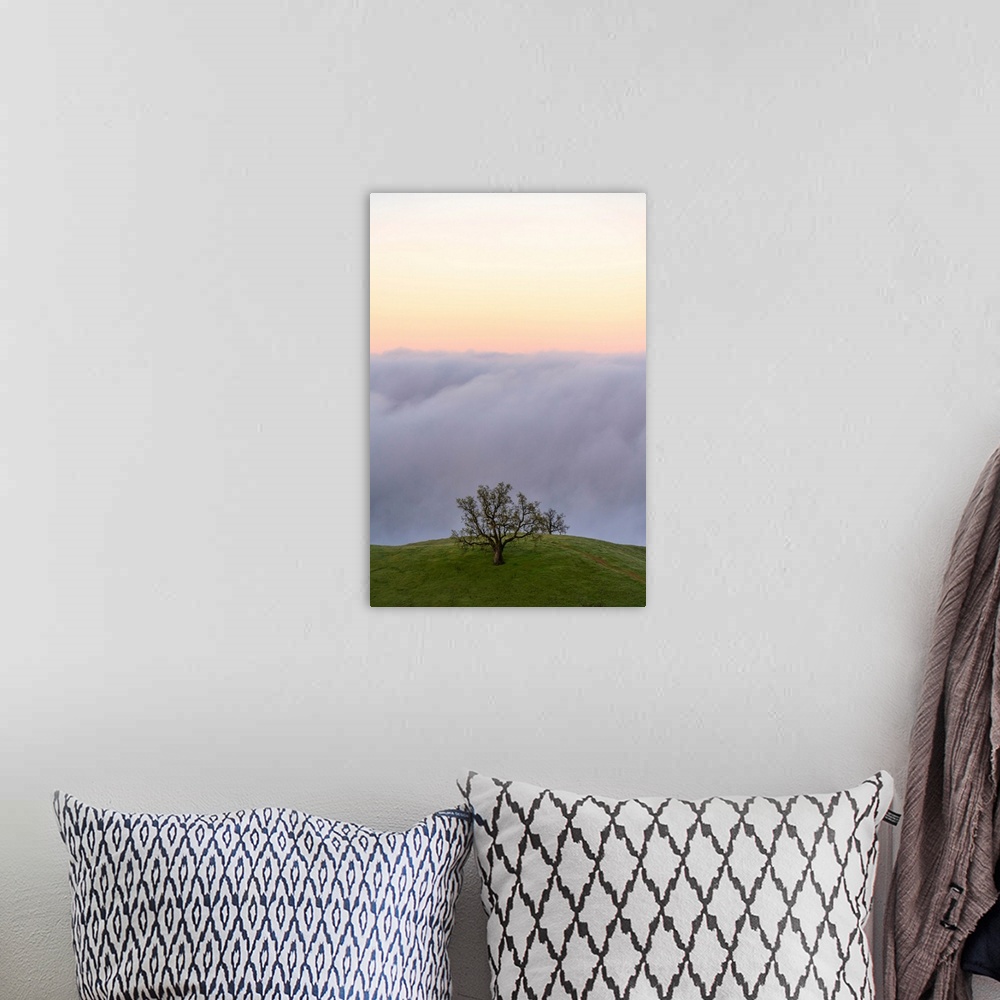 A bohemian room featuring Fog banks rolling in off of the ocean with the sun setting below them, a lone tree stands on gras...
