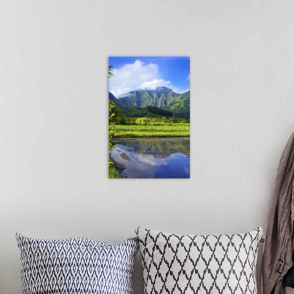 A bohemian room featuring Mirror image of green, foliage covered mountains and fields of taro crops; Hanalei, Kauai, Hawaii...