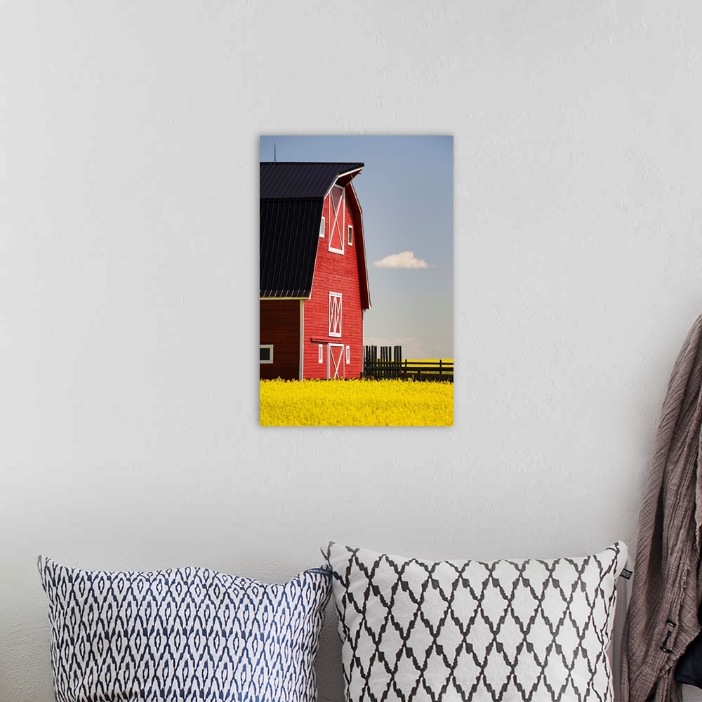 A bohemian room featuring Red Barn In A Flowering Canola Field With Blue Sky, Alberta, Canada