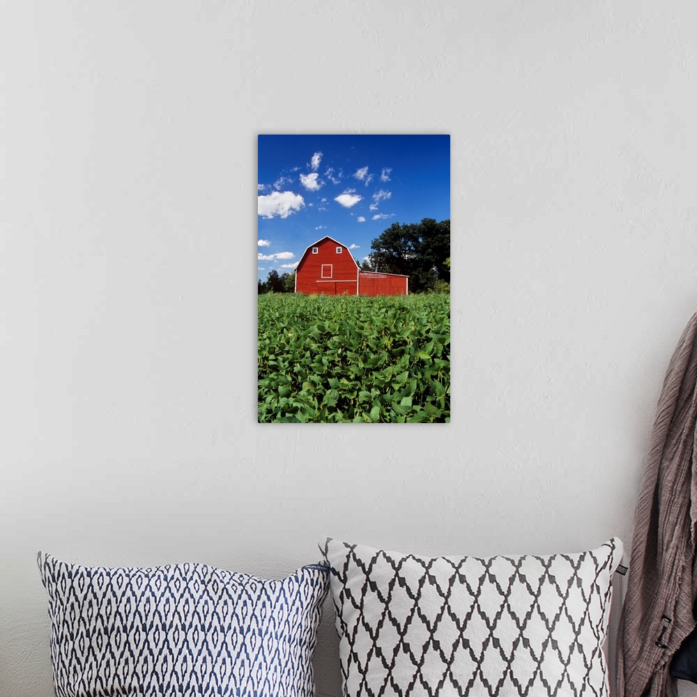 A bohemian room featuring Soybean Field And Red Barn Near Anola, Manitoba, Canada