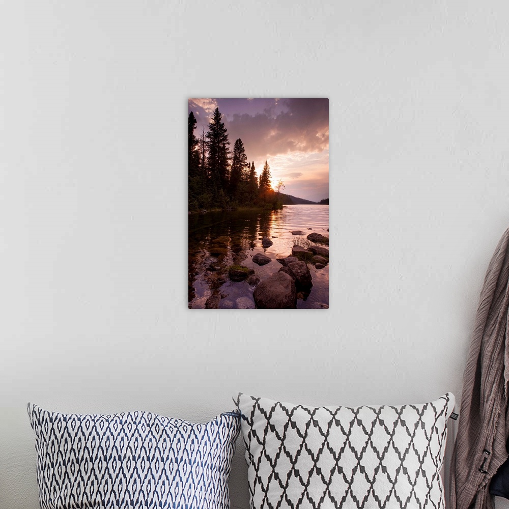 A bohemian room featuring trees by the water, color photography