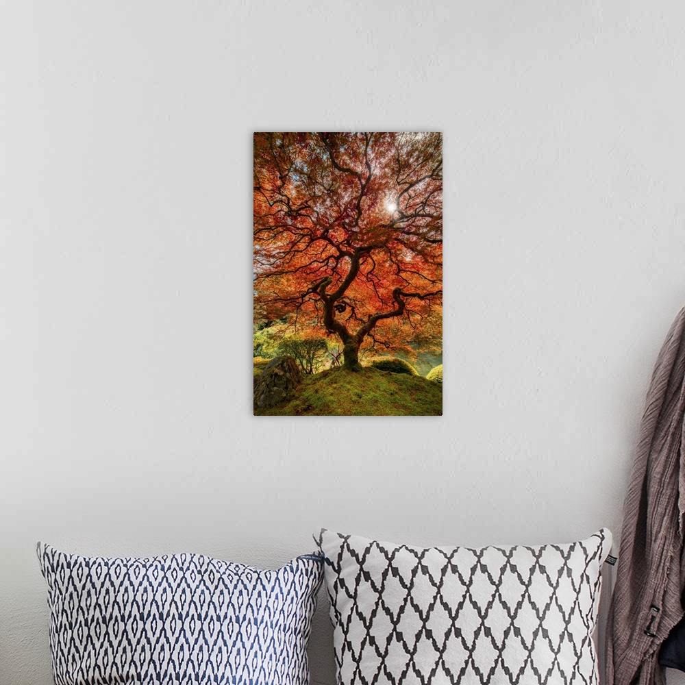 A bohemian room featuring An artistic photograph of an old Japanese maple tree in a zen garden.