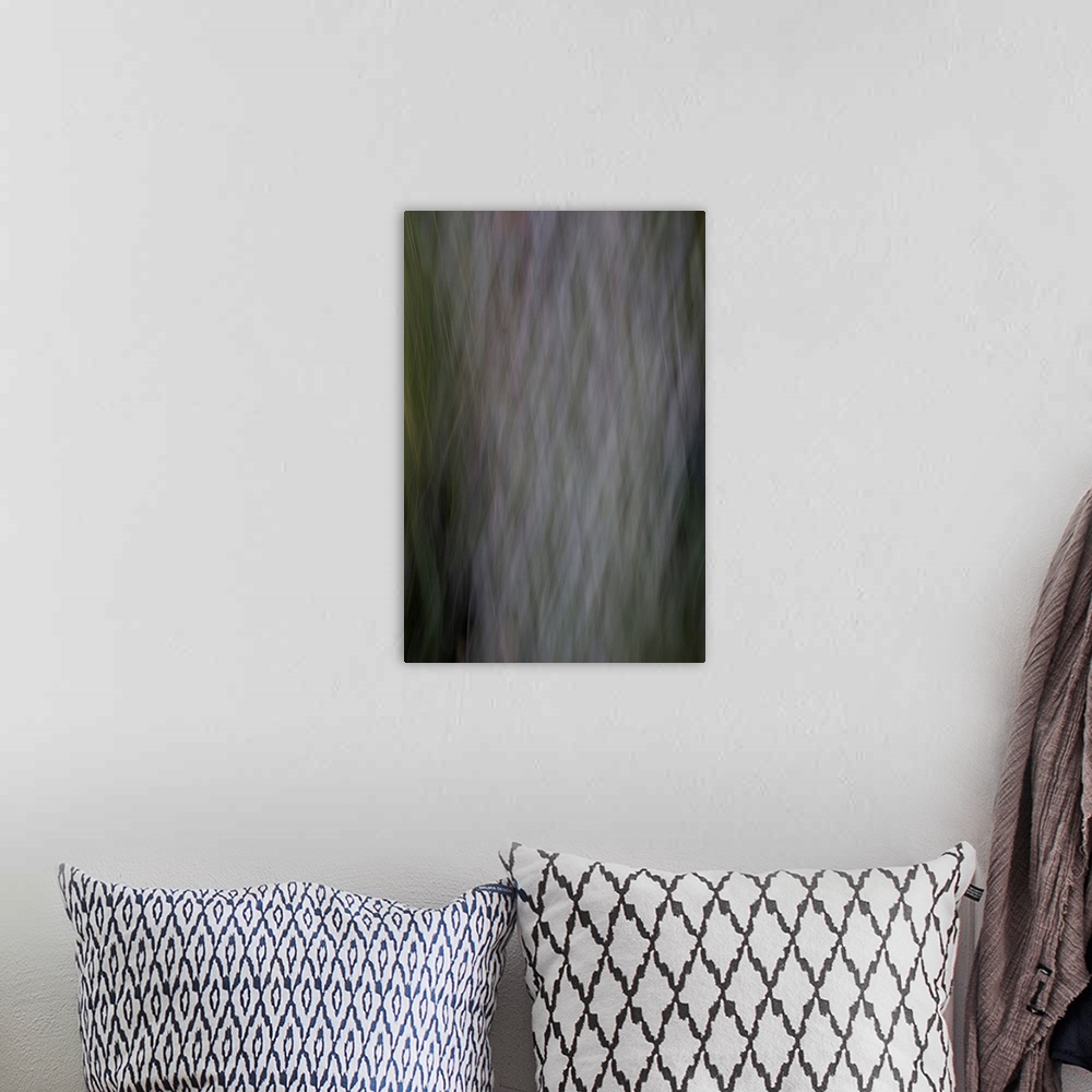 A bohemian room featuring Impressionist photograph of a tree.
