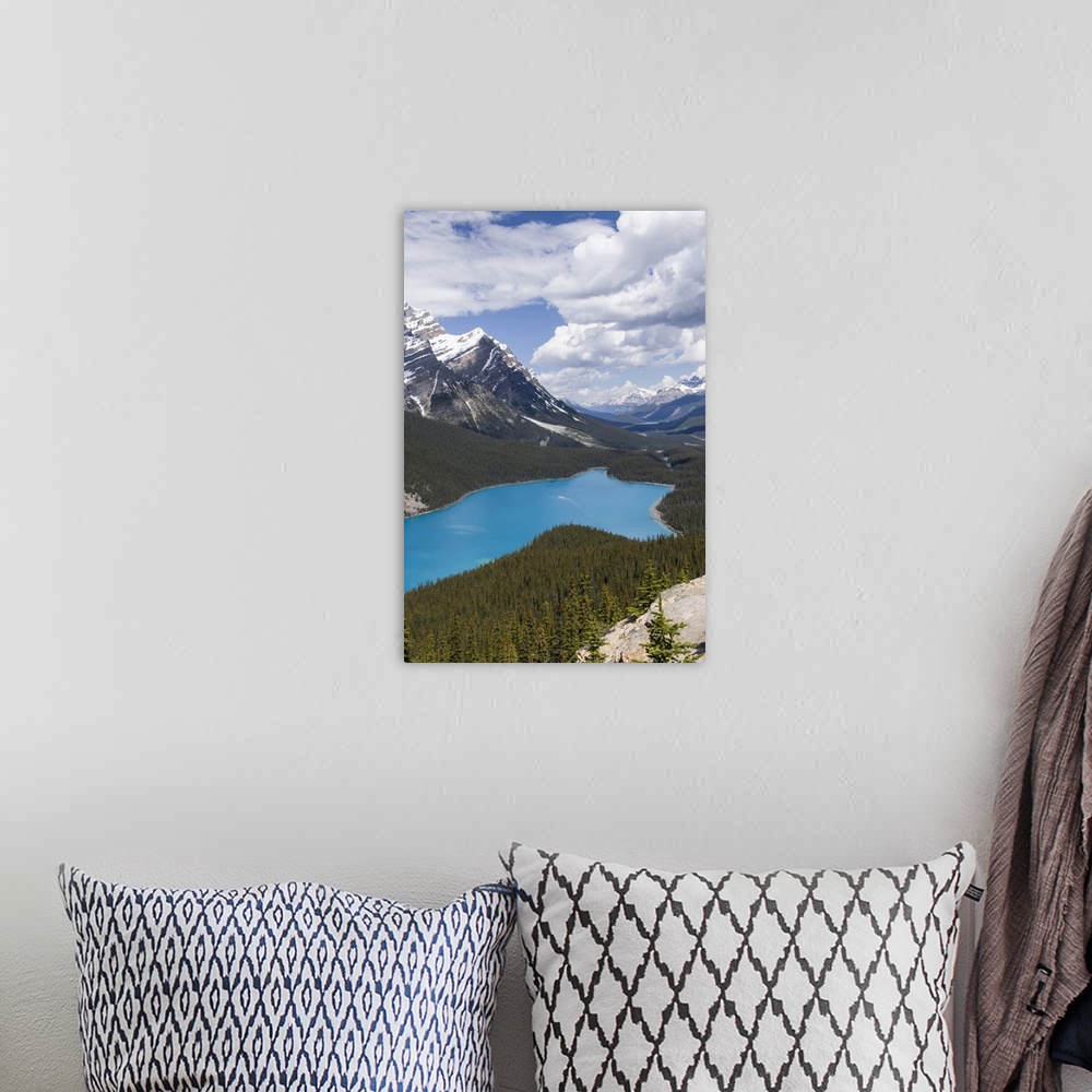 A bohemian room featuring Banff National Park, Alberta, Canada. Peyto Lake along the Icefields Parkway scenic drive.