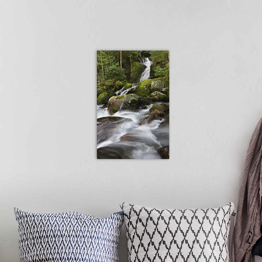 A bohemian room featuring Big Creek and Mousecreek Falls, Great Smoky Mountains National Park, North Carolina