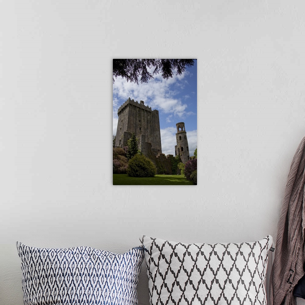 A bohemian room featuring The Blarney Castle framed by  colored textured plants under a blue sky with white puffy clouds