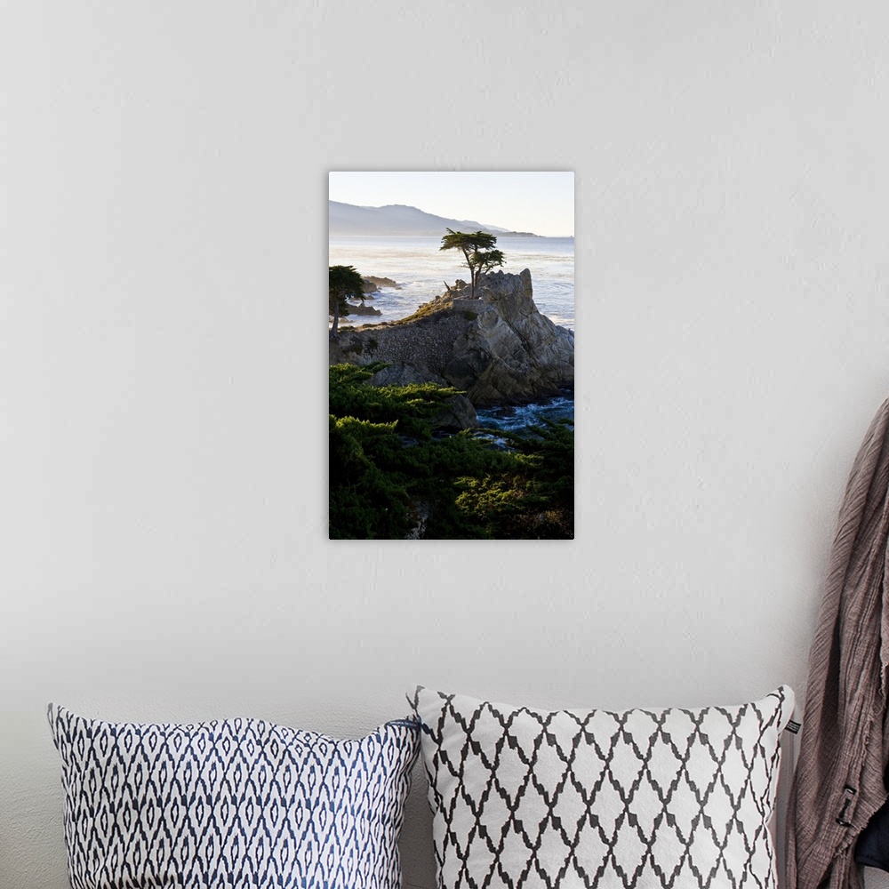 A bohemian room featuring California, Carmel-by-the-Sea. Sunrise lights the famous Lone Cypress as viewed from 17 Mile Drive.