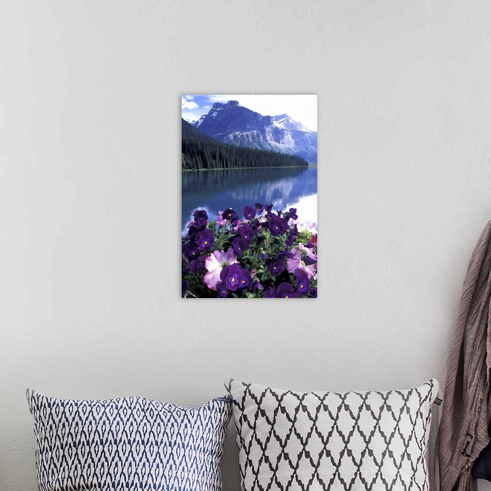 A bohemian room featuring NA, Canada, Alberta, Banff National Park.Pansies and Emerald Lake