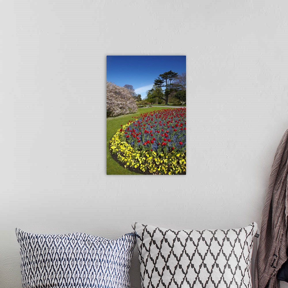 A bohemian room featuring Flower bed, Botanic Gardens, Hagley Park, Christchurch, Canterbury, South Island, New Zealand.