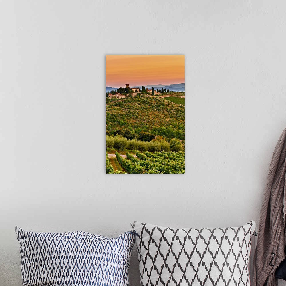 A bohemian room featuring Europe, Italy, Tuscany, Greve. Dawn on Castello di Verrazzano estate.