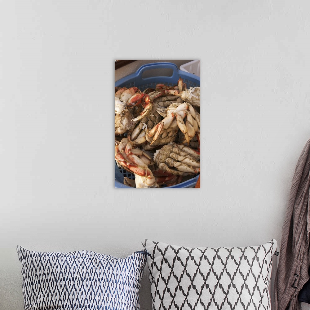 A bohemian room featuring North America, Canada, Queen Charlotte Islands, Dungeness cooked crab.