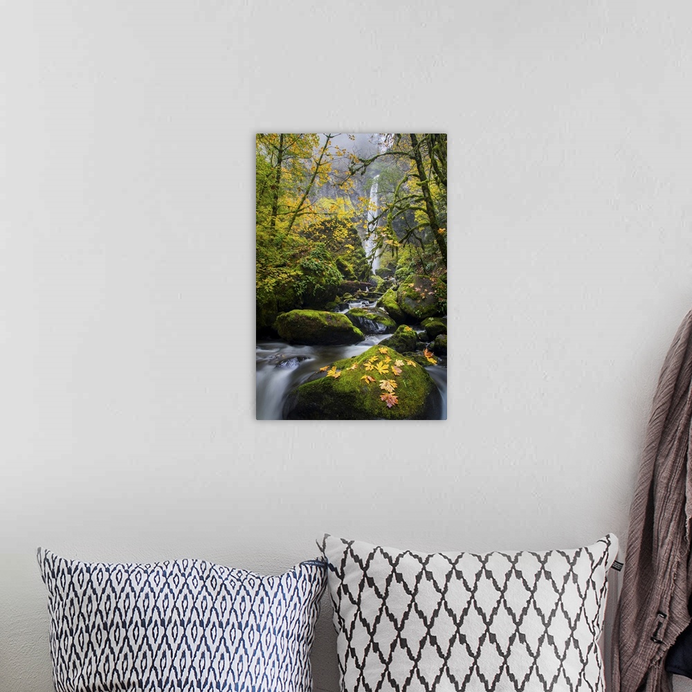 A bohemian room featuring USA, Oregon. View from below Elowah Falls on McCord Creek in autumn in the Columbia Gorge.