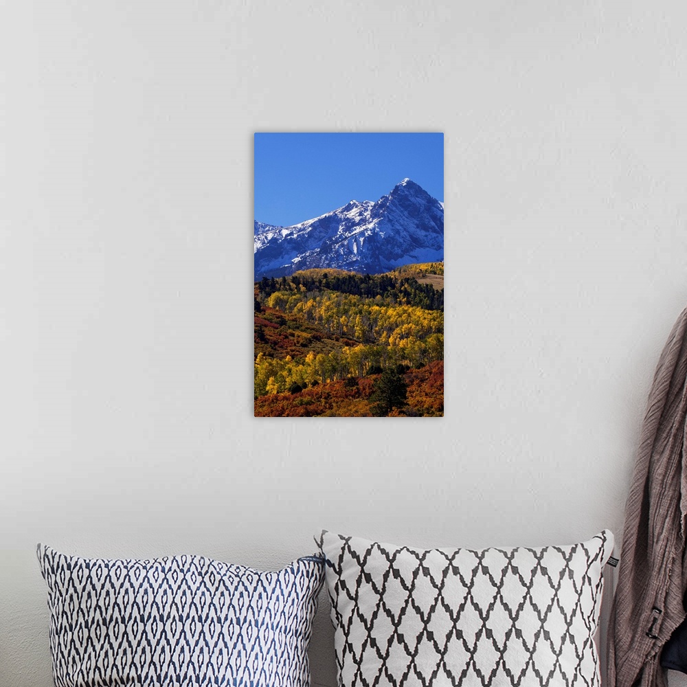 A bohemian room featuring USA, Colorado, San Juan Mountains. Mountain and forest in autumn.
