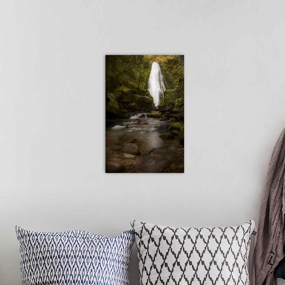 A bohemian room featuring USA, Oregon, Umpqua National Forest. Susan Creek Falls in mossy gorge.