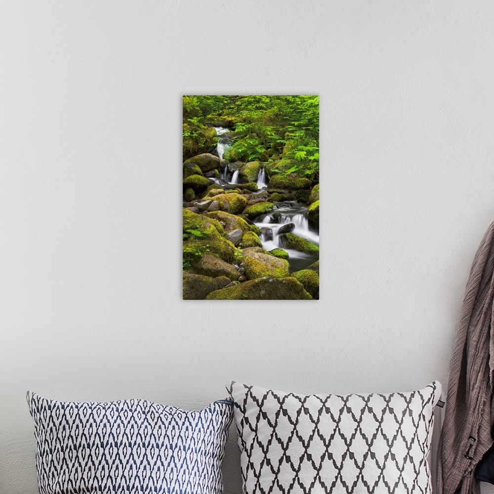 A bohemian room featuring USA, Oregon, Hood River. A waterfall on Tish Creek, just above Eagle Creek and Punch Bowl Falls.