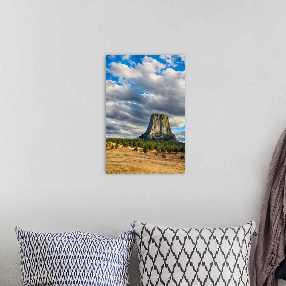 A bohemian room featuring WY, Devils Tower National Monument, Devils Tower