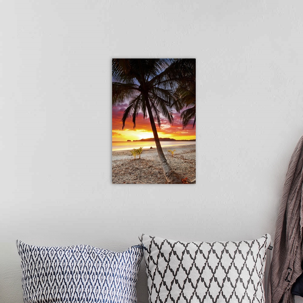 A bohemian room featuring Costa Rica, Guanacaste, Caribbean, Caribs, Pacific ocean, Nicoya Peninsula. Playa Carrillo at sunset