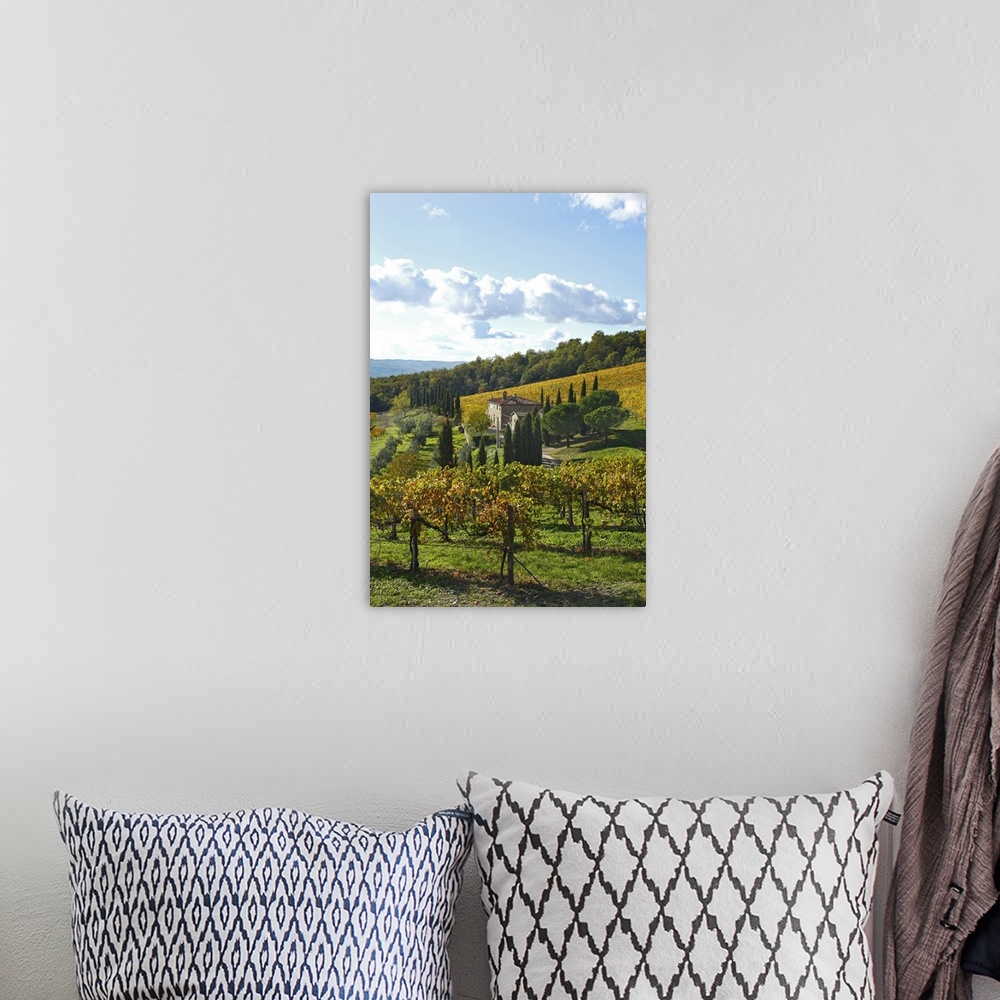 A bohemian room featuring Italy, Tuscany, Chianti, Mediterranean area, Firenze district, Travel Destination, Vineyard