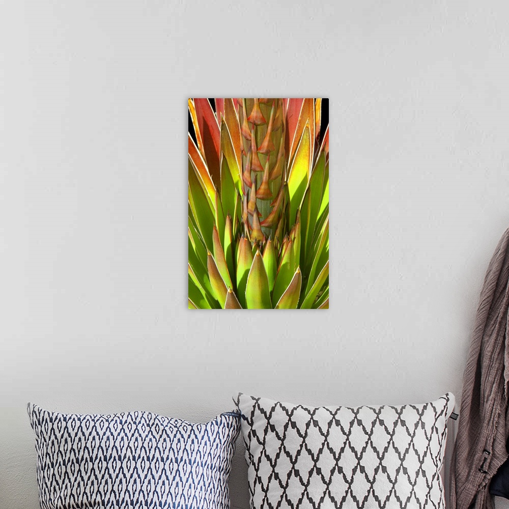A bohemian room featuring Colorful Agave I