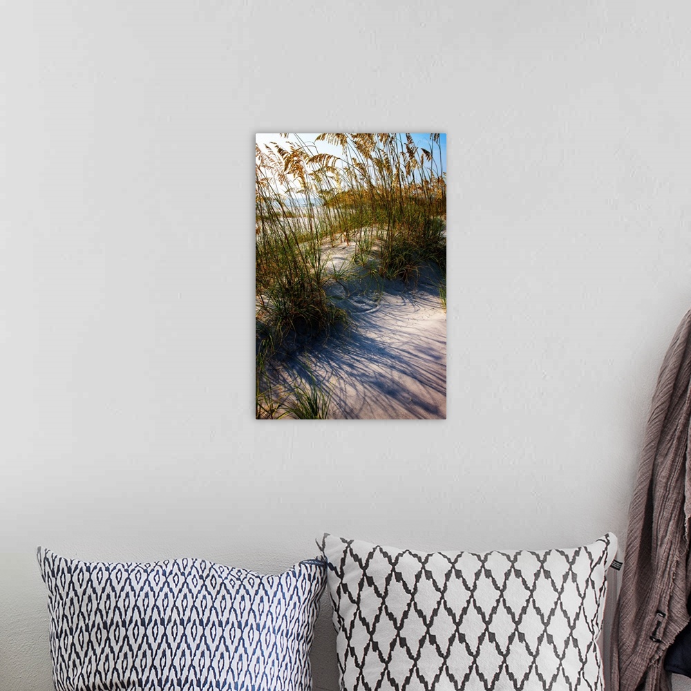 A bohemian room featuring Photograph of sea oats on top of a sand dune.