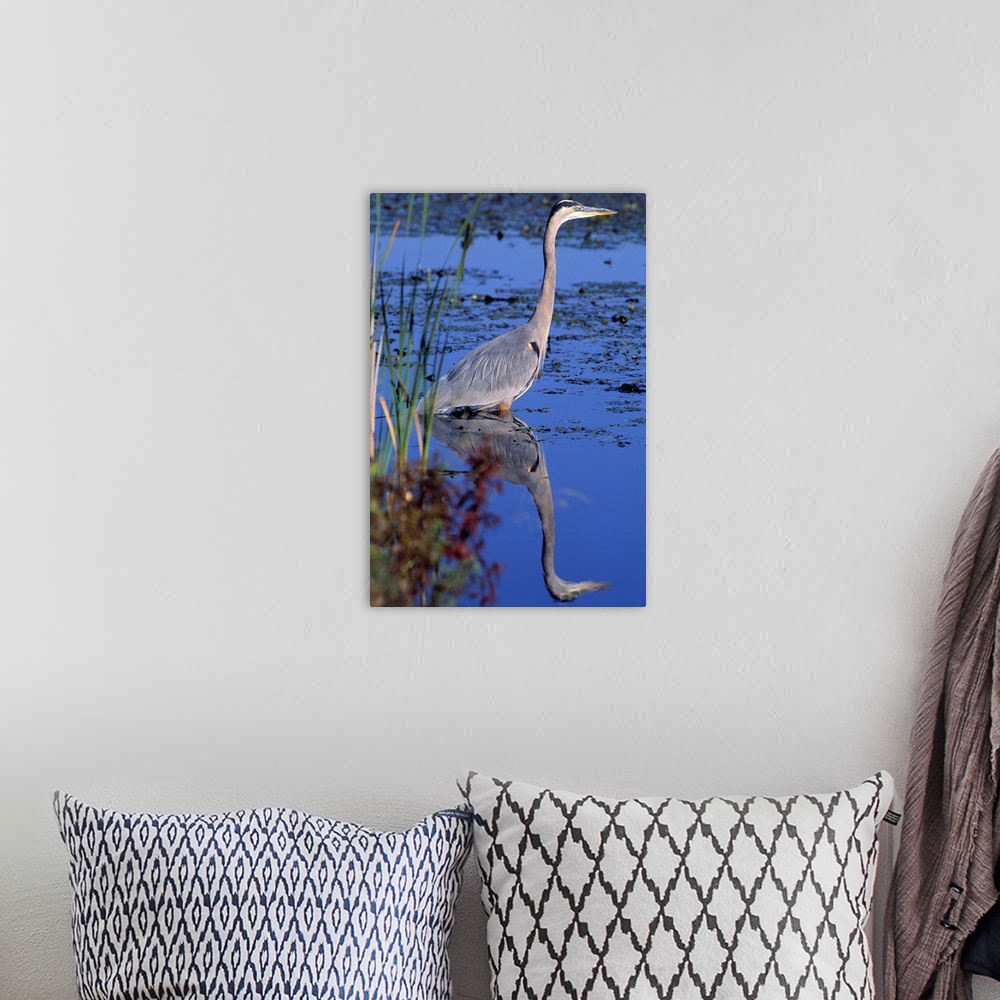 A bohemian room featuring Adult great blue heron