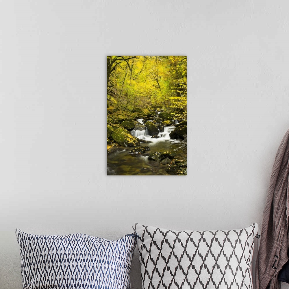 A bohemian room featuring River flowing through a wooded valley in autumn.