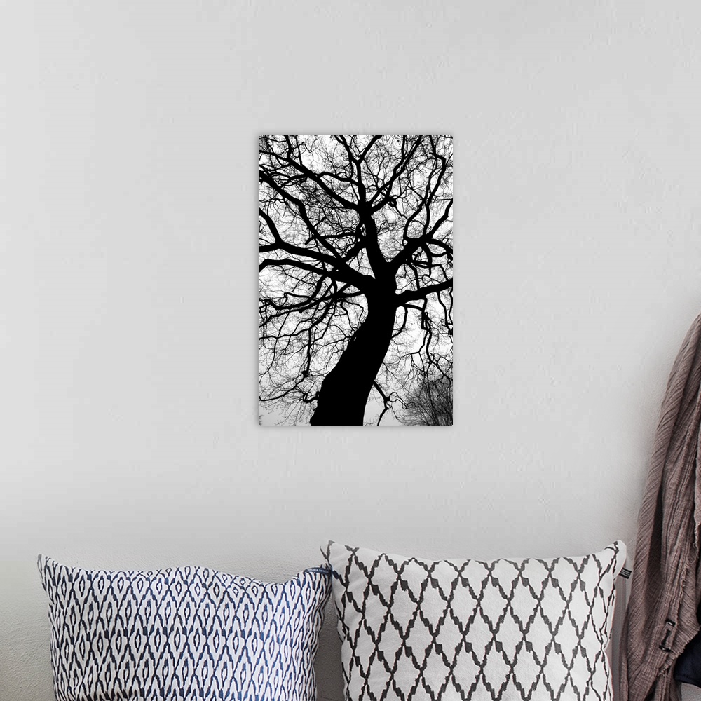 A bohemian room featuring Black tree I