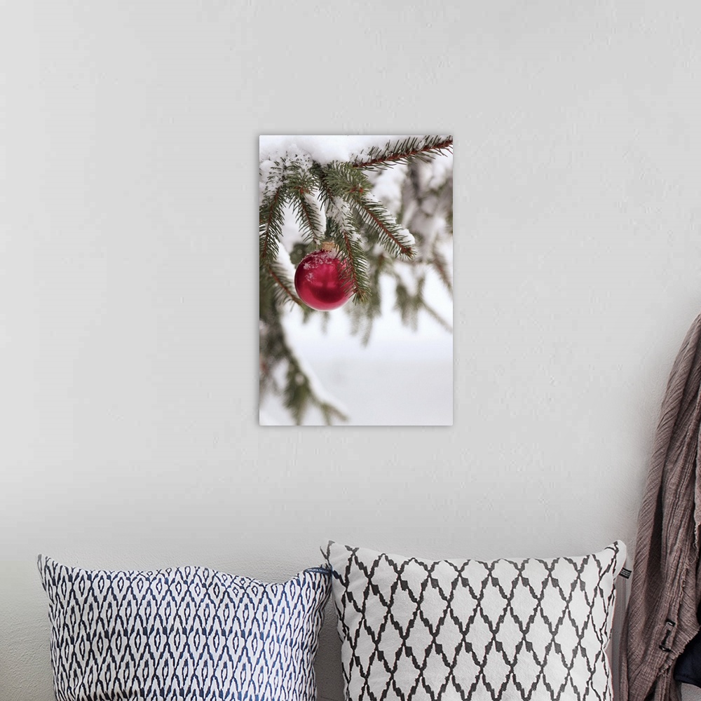 A bohemian room featuring Christmas ornament on snow-covered tree
