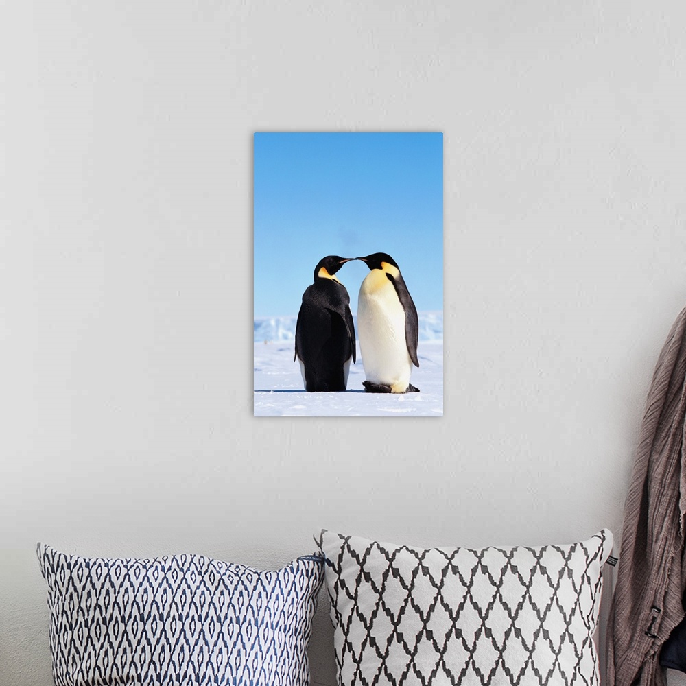 A bohemian room featuring Emperor Penguins Greeting