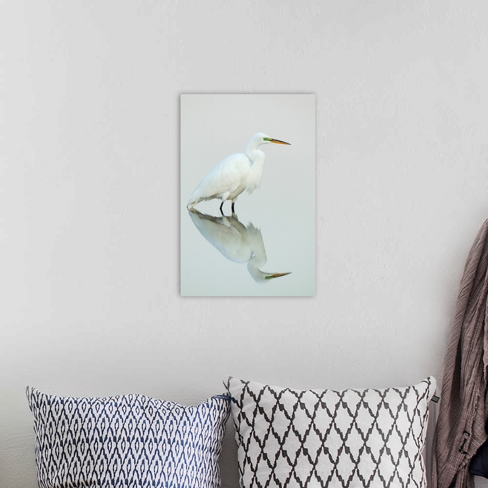 A bohemian room featuring Great Egret Reflected