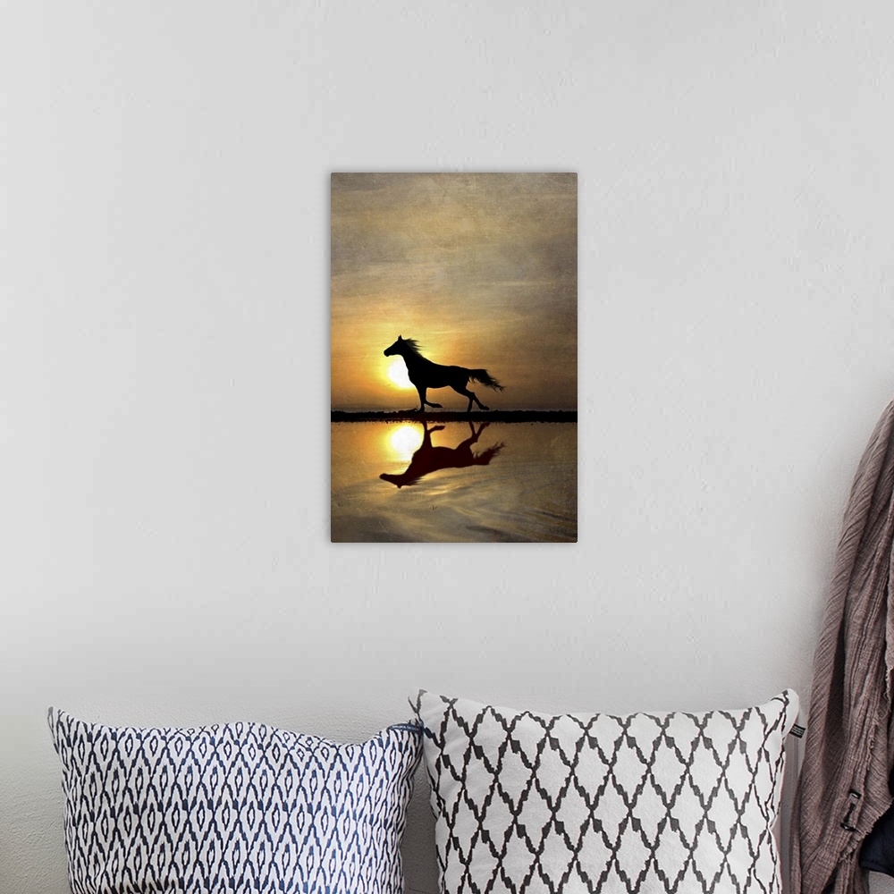 A bohemian room featuring Silhouette of horse running along beach with reflection and sunset.