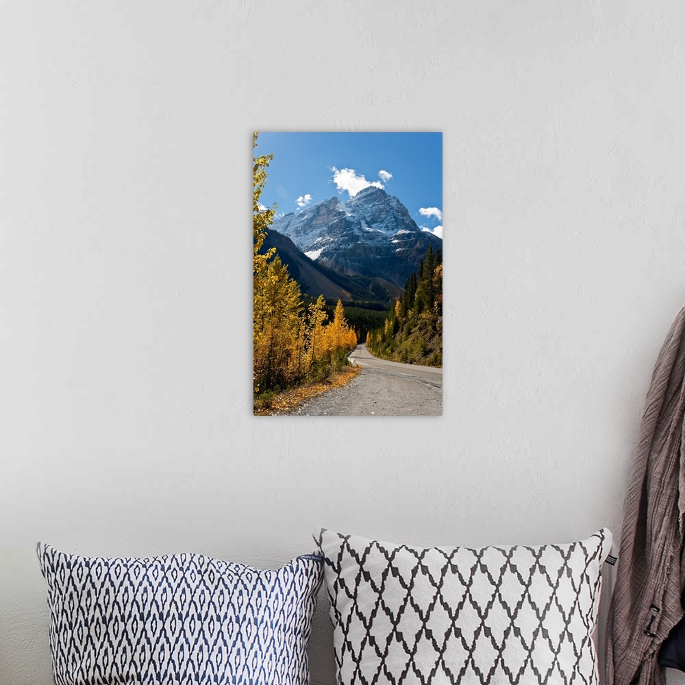A bohemian room featuring Snow capped mountain and winding road in Kicking Horse in Canadian Rockies.