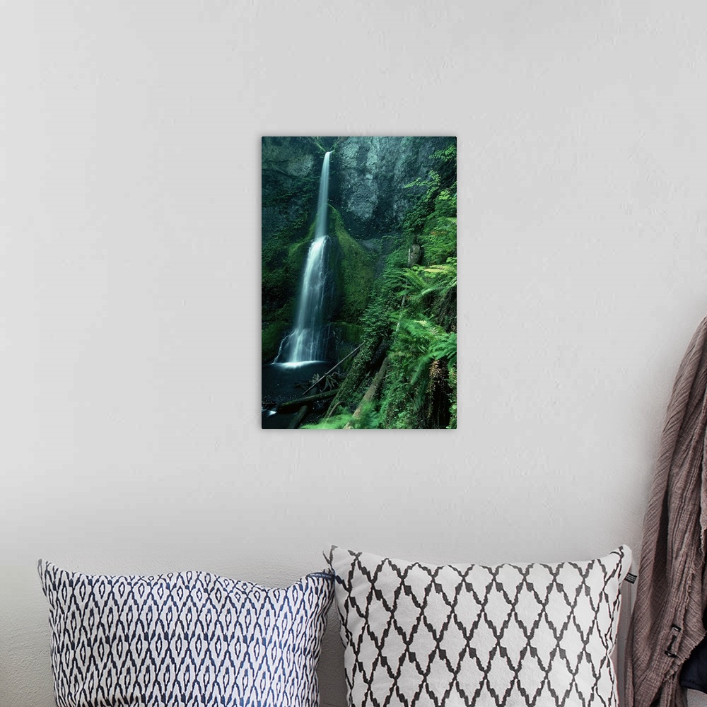 A bohemian room featuring Marymere Falls in Olympic National Park