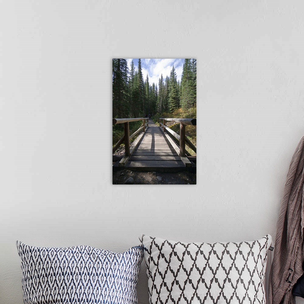 A bohemian room featuring The hiking trail to mountains in moraine lake area, banff national park, Alberta, canada