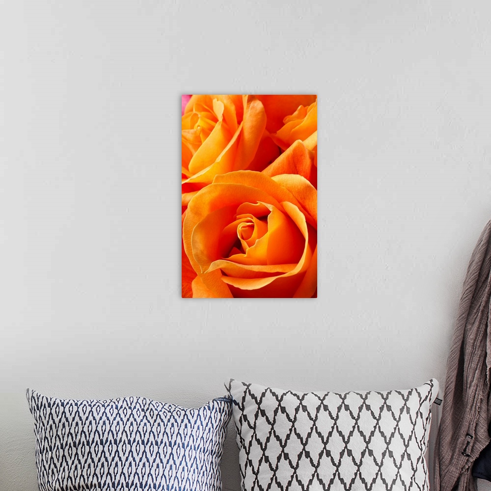 A bohemian room featuring Orange roses