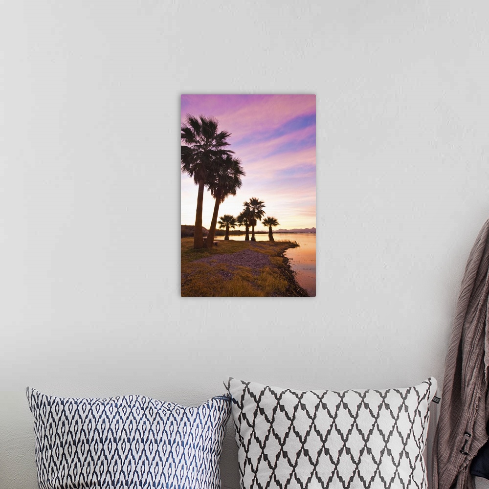 A bohemian room featuring Palm trees and beach, Lake Havasu, Arizona, USA